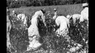 Sharecropping in the Mississippi Delta Podcast [upl. by Eblehs]