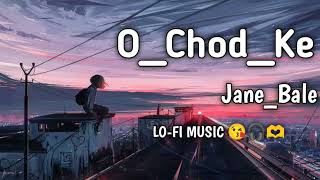 O CHOD KE JANE BALE LOFI SONG New Lofi o chod ke naje bale Chod ke Jane Wale Slowed Reverb [upl. by Willamina368]