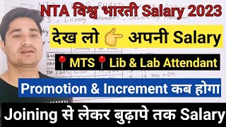 NTA Visva Bharati Various Post Online Form 2023 Salary  NTA Visva Bharati MTS Salary 2023 [upl. by Leonelle]