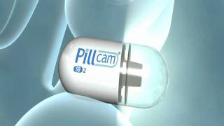 PillCam SB 2 3D Animation [upl. by Anaz175]