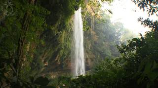 🐦 Waterfall Scenery in Tropical Rainforest with the Sound of Falling Water and Singing Jungle Birds [upl. by Halac]