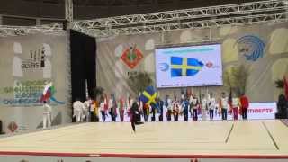 Sweden country presentation at the 2015 Aerobics Europeans [upl. by Eizzil776]