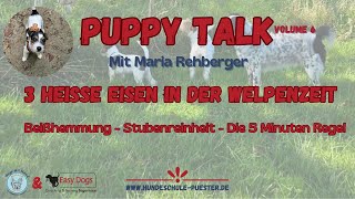 Puppy Talk 3 heiße Eisen in der Welpenzeit Mit Maria Rehberger [upl. by Kathe967]