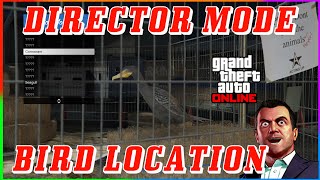 GTA 5  EASY  BIRD LOCATION  FOR DIRECTOR MODE GLITCH  PEYOTE PLANT LOCATION [upl. by Salema873]