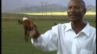 Fandishe Mullata Oromo Music  Sumaani Booya [upl. by Erasaec]