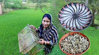 মাঠ থেকে চিংড়িমাছ ধরে কচুর লতি দিয়ে রান্না করলাম সাথে সরষে পাবদা রেসিপি  fish curry recipe [upl. by Zaragoza]