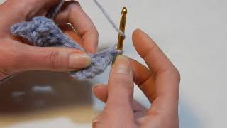 How to Half Double Crochet  Beginner Course Lesson 10 [upl. by Fabron]