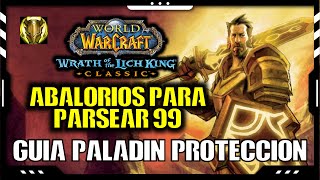 ¿Qué abalorios debo usar para parsear 99  Guía Paladín Protección  WOTLK Classic [upl. by Rabush48]