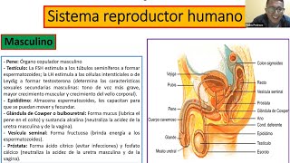 Capítulo 10 Reproducción Ciclo Celular y Sistema Reproductor Humano de Biología [upl. by Linetta]