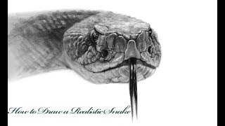 How to Draw a Realistic SnakeStep by Step Tutorial [upl. by Sral]