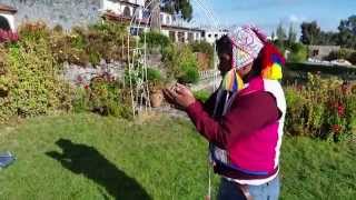 Chumpi stone healing and teaching with Don Isidro [upl. by Waxler]