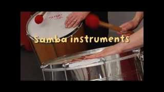 Samba Instruments [upl. by Eppillihp745]