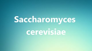 Saccharomyces cerevisiae  Medical Definition and Pronunciation [upl. by Eisnyl]