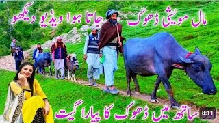 Gujari video Gujari song pahadi new 2024 milian song [upl. by Carlene]