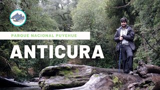 🏞️ Parque Nacional PUYEHUE Tres senderos en una mañana en ANTICURA 👟 [upl. by Selemas]