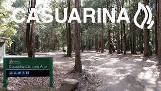 Casuarina Campground  Olney State Forest NSW [upl. by Albarran]