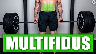 BEST Multifidus Exercises  Not What You Think Science Based [upl. by Juster678]