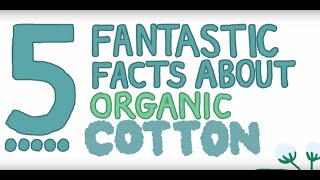 Five Fantastic Facts about Organic Cotton [upl. by Grubb405]