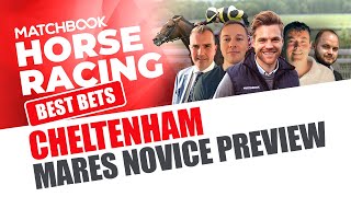 2023 Mares Novice Hurdle Preview  Cheltenham [upl. by Abner]