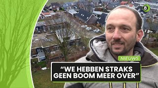 Onvrede in Azewijn om kapvergunning voor monumentale boom [upl. by Lelah139]