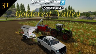 FS22 Goldcrest Valley Ep31  Got a refull trailer [upl. by Nueovas]