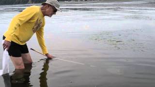 Crab fishing in Boundary Bay [upl. by Arta]