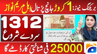 250000 CNIC 1312 Ehsas Program 2024  Benazir Incom Support Program 8800 Solor Program 8171 Ehsaas [upl. by Notneuq]