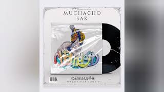 Muchacho Sak FT J Carlos Herrera RMX CAMALEÓN [upl. by Auop1]