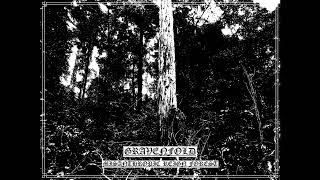 Gravenfold AU  Misanthropic Reign Forest Full Length 2024 [upl. by Ahsimet250]