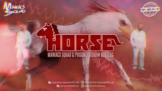 Salvatore Ganacci  Horse Maniacs Squad amp Prisoners Show Bootleg [upl. by Morel451]