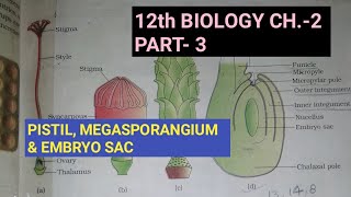 Class 12 biology chapter2 Part3 Pistil megasporangium and embryo sacStudy with FARRU [upl. by Juieta]