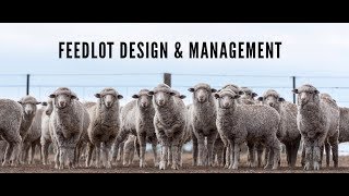 Practical feedlot seminar Feedlot design and management [upl. by Ontine]