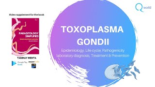 Toxoplasma Gondii  Parasitology Simplified tutorials For NEETPG NEXT USMLE PLAB UKMLE FRCP [upl. by Editha]