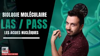 Les acides nucléiques  🧬 Adénine Cytosine Guanine Thymine Ce quil faut retenir maintenant [upl. by Rajiv981]