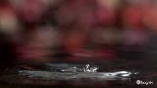 Dripping WaterSlow Motion HD [upl. by Nuahc807]