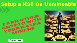 How to Put a KS0 Kaspa Miner on Unmineable [upl. by Aliehc75]