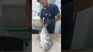 Excellent Fish Cutting [upl. by Aseela2]