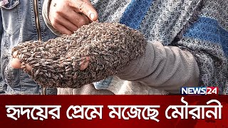 মানুষের হাতই যখন মৌচাক  Bee Man  Bee  News24 [upl. by Hnahc]