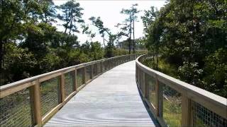 Gordons Pond Trail Cape Henlopen State Park [upl. by Rodman]