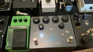 Nordvang Gravity vs MIJ Ibanez TS10 John Mayer Gravity first solo Improvised [upl. by Janelle]