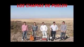 los chamas de puelen el alacran [upl. by Ahtanamas]