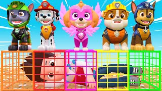 Paw Patrol Challenge Escape prison [upl. by Nednerb]