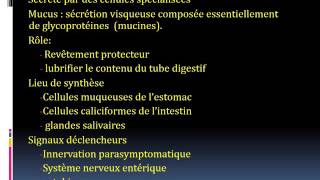 PHYSIOLOGIE physiologie digestive 3 [upl. by Ikaz]