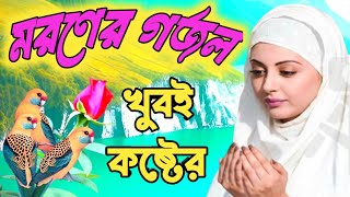 খুবই দুঃখের গজল  khub dukher koborer koster gojol  New GhazalGhazalGojolNotun Gojol [upl. by Attwood367]