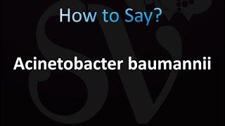 How to Pronounce Acinetobacter baumannii CORRECTLY [upl. by Nisen979]