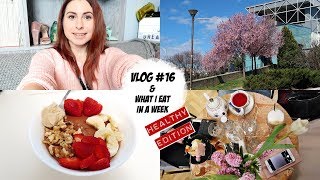 Μπαίνω σε πρόγραμμα  Vlog 16  Της σαλάτας έγινε  DoYouSpeakGossip [upl. by Ecirtnahc]