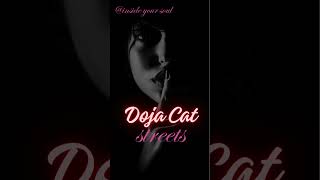 Doja cat  Streets music streets youtubeshots [upl. by Nairred]