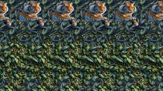 Animal Attraction 🐱  3D Stereogram Illusions [upl. by Eniamrej]