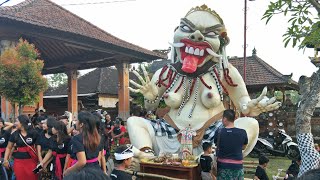 Ogoh Ogoh Nyepi 2018 tahun saka 1940 Kerambitan Tabanan Bali [upl. by Thorvald557]