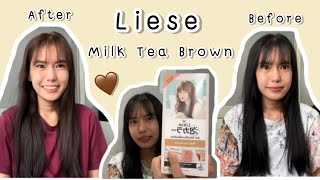 ย้อมผมด้วยตัวเองง่ายๆด้วย Liese Milk Tea Brown สีสวยมากก🤎 [upl. by Brew]